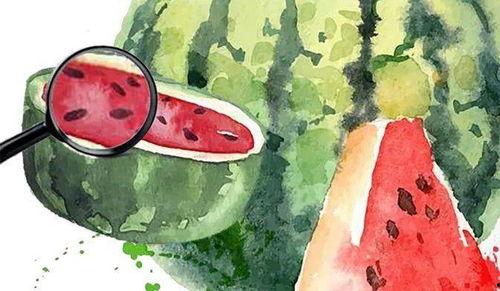 吃瓜素养,吃瓜群众眼中的明星生活