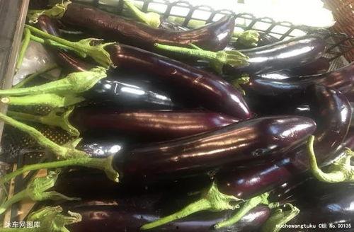 吃瓜厨房茄子,茄子美食大揭秘