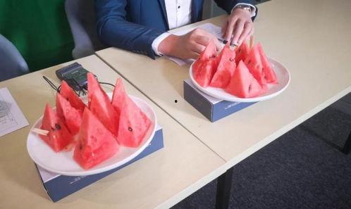 网红吃瓜抱枕,潮流新宠，趣味生活必备