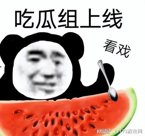 装备吃瓜,揭秘军事装备背后的趣味故事