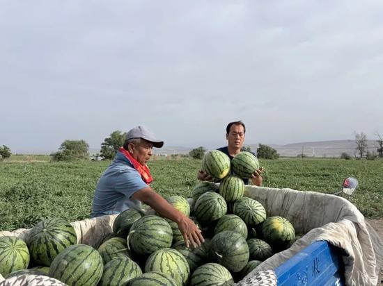 吃瓜无棣,揭秘当地特色美食与风土人情