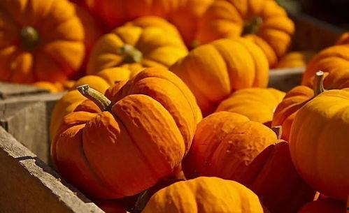 k神成都吃瓜,k神带你领略麻辣美食与娱乐风云