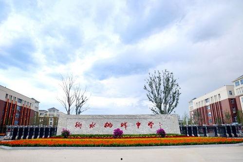 衡水桃城中学吃瓜视频,揭秘校园生活趣事