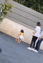 吃瓜鹅组基地,网络红人的诞生与成长