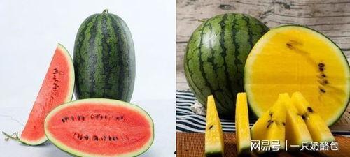 吃大瓜.cn,网络热传的美食分享平台