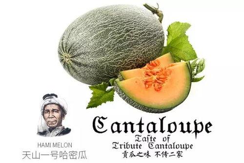 雪圈吃瓜号,揭秘娱乐圈那些不为人知的幕后故事