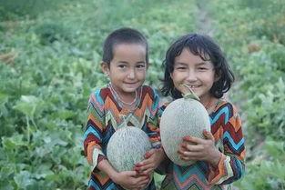 吃瓜群众新疆,吃瓜群众的视角解读这片神秘土地