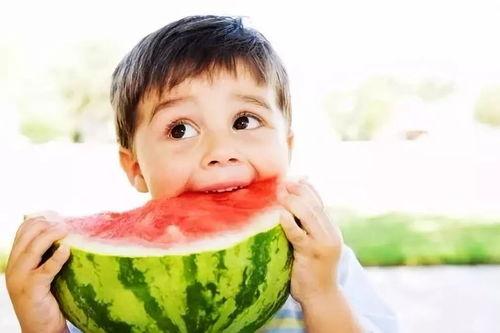 瓜太郎吃西瓜,瓜太郎的甜蜜西瓜之旅