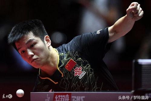 马龙小胖吃瓜,揭秘娱乐圈的甜蜜瓜田