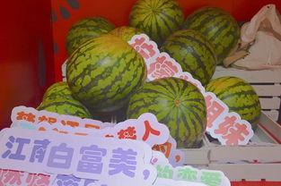 公园里面吃瓜,夏日休闲好去处