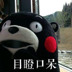 好嗨呀吃瓜群众,好嗨呀！揭秘吃瓜群众的狂欢盛宴