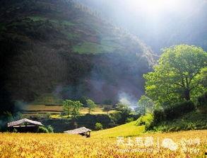 丙中洛吃瓜,瓜果飘香，品味田园风光