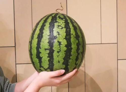 5的吃瓜,一场娱乐圈的狂欢盛宴