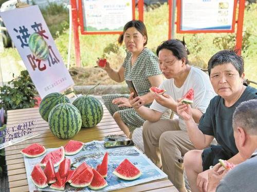 吃瓜在户外,夏日炎炎里的清凉小确幸