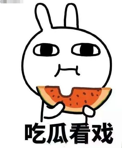 吃瓜炼金,揭秘美食背后的神秘炼金术