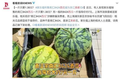 吃最贵的瓜视频,一场奢华美食的视觉盛宴