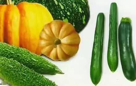 吃瓜温酒,品味人生百态