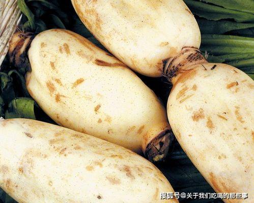 地鼠吃生瓜,地鼠生食瓜果的奇妙现象探究